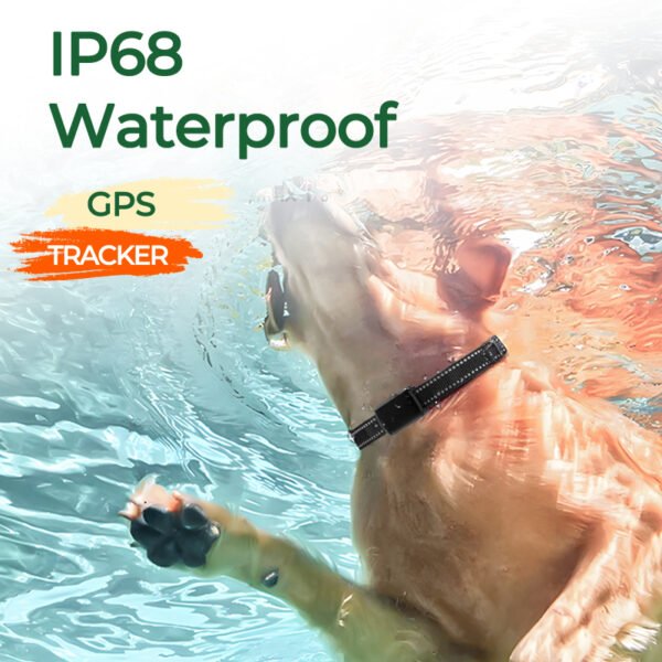 Pet GPS Tracker | Pet GPS tracker with live tracking UK | Pet tracker without monthly subscription | PET IIOOLL