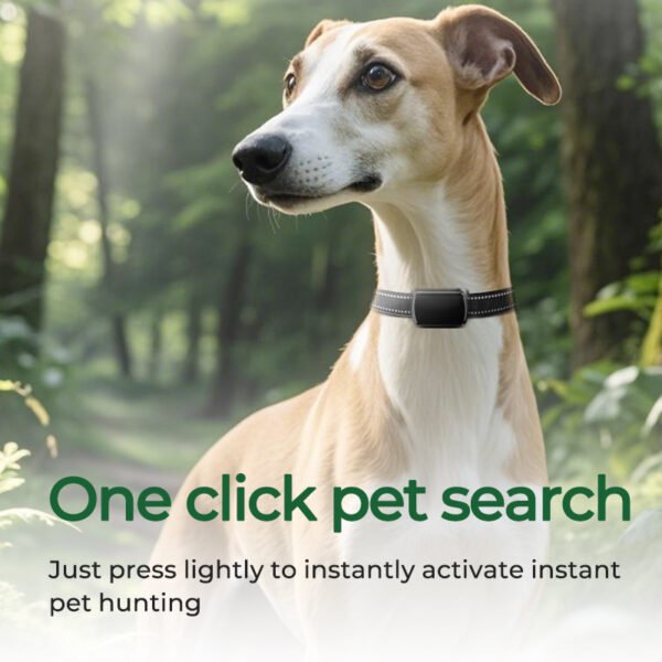 Pet GPS Tracker | Pet GPS tracker with live tracking UK | Pet tracker without monthly subscription | PET IIOOLL